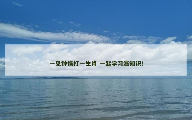 一见钟情打一生肖 一起学习涨知识！