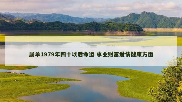 属羊1979年四十以后命运 事业财富爱情健康方面