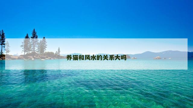 养猫和风水的关系大吗