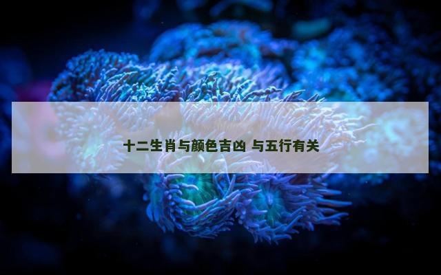 十二生肖与颜色吉凶 与五行有关