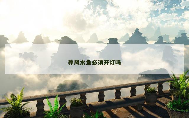 养风水鱼必须开灯吗