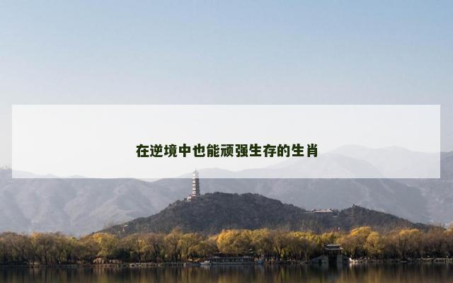 在逆境中也能顽强生存的生肖