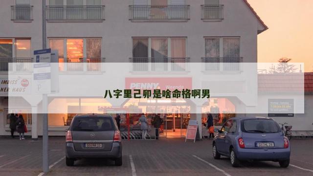 八字里己卯是啥命格啊男