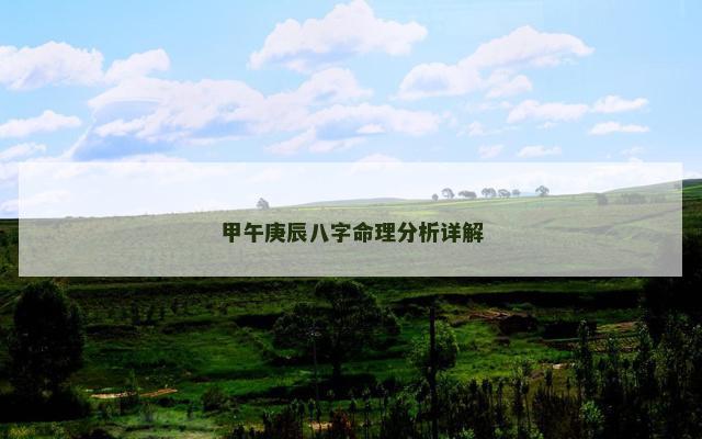 甲午庚辰八字命理分析详解