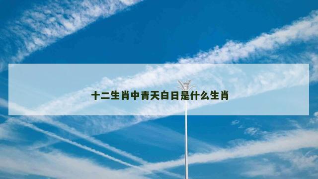 十二生肖中青天白日是什么生肖