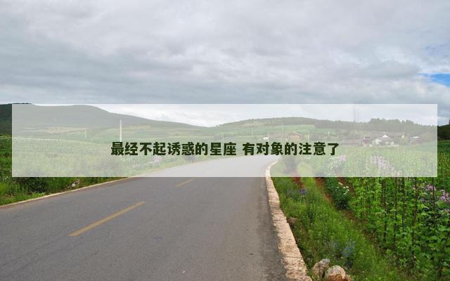 最经不起诱惑的星座 有对象的注意了