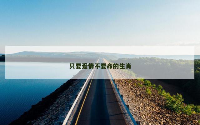 只要爱情不要命的生肖