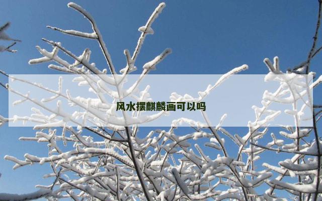 风水摆麒麟画可以吗
