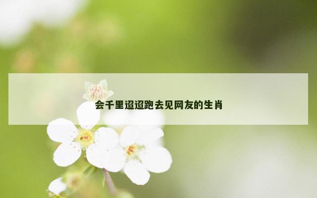 会千里迢迢跑去见网友的生肖