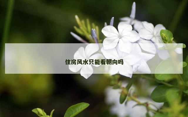 住房风水只能看朝向吗