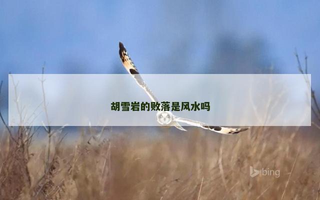 胡雪岩的败落是风水吗