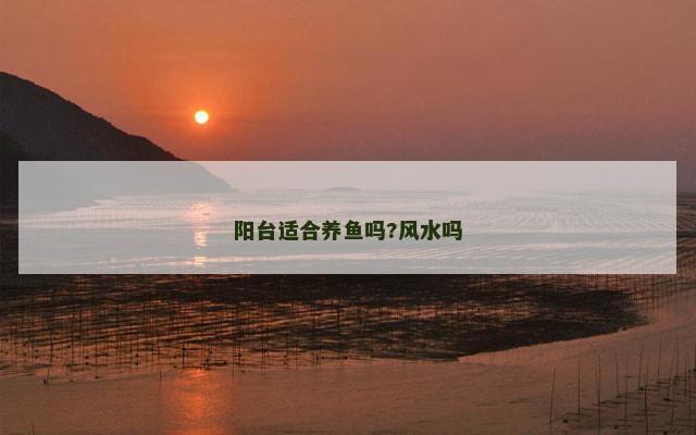阳台适合养鱼吗?风水吗
