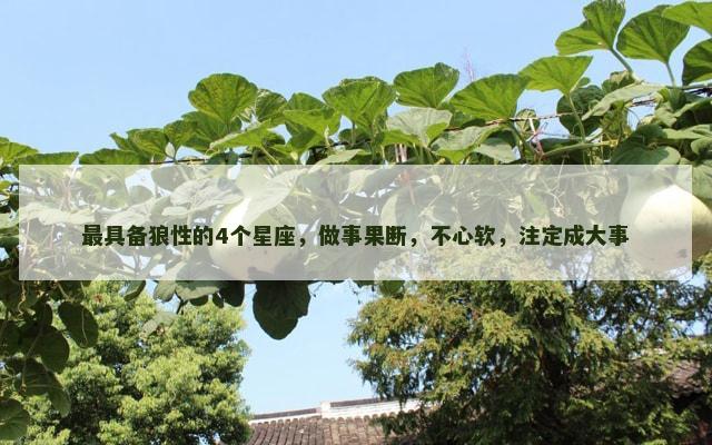 最具备狼性的4个星座，做事果断，不心软，注定成大事