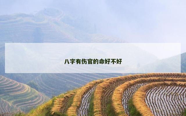 八字有伤官的命好不好