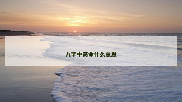 八字中高命什么意思