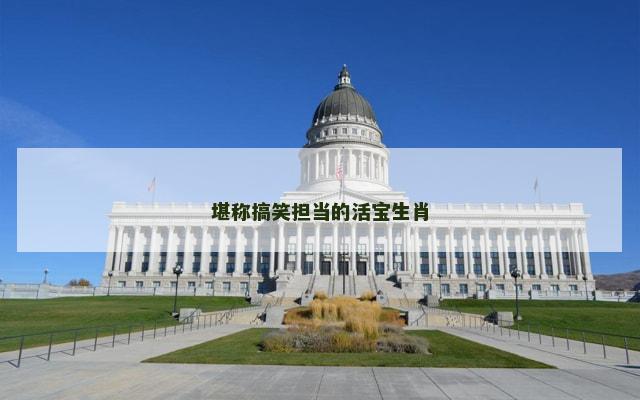堪称搞笑担当的活宝生肖