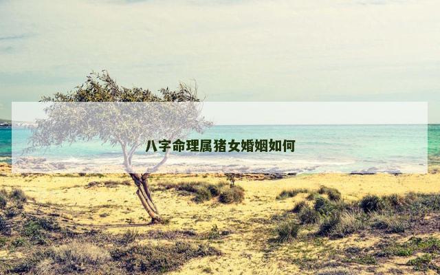 八字命理属猪女婚姻如何
