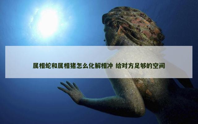 属相蛇和属相猪怎么化解相冲 给对方足够的空间