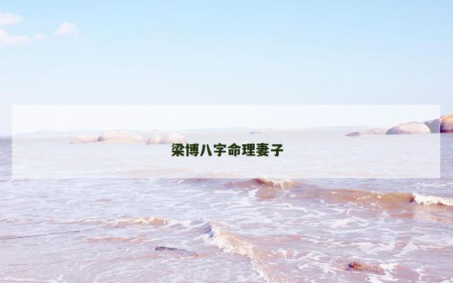 梁博八字命理妻子