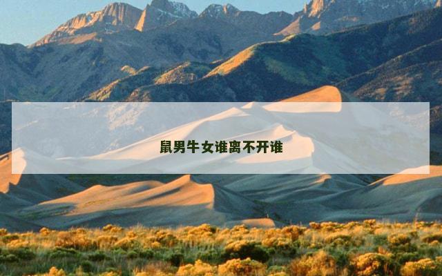 鼠男牛女谁离不开谁