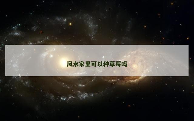风水家里可以种草莓吗