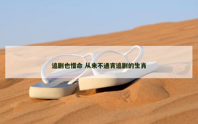 追剧也惜命 从来不通宵追剧的生肖