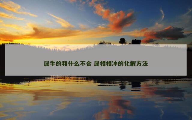 属牛的和什么不合 属相相冲的化解方法