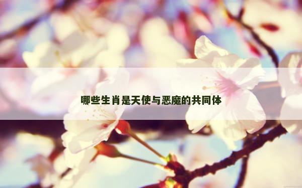 哪些生肖是天使与恶魔的共同体