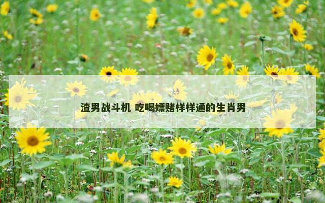 渣男战斗机 吃喝嫖赌样样通的生肖男