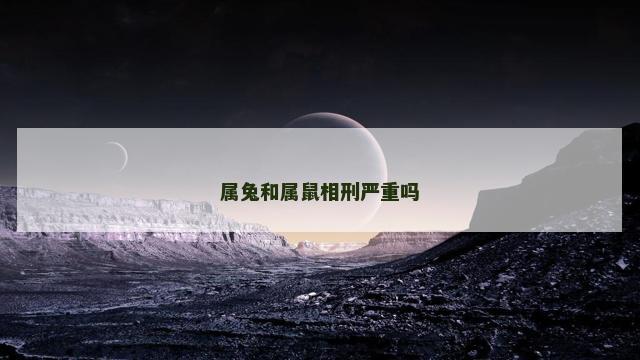 属兔和属鼠相刑严重吗