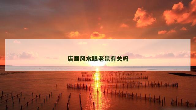 店里风水跟老鼠有关吗