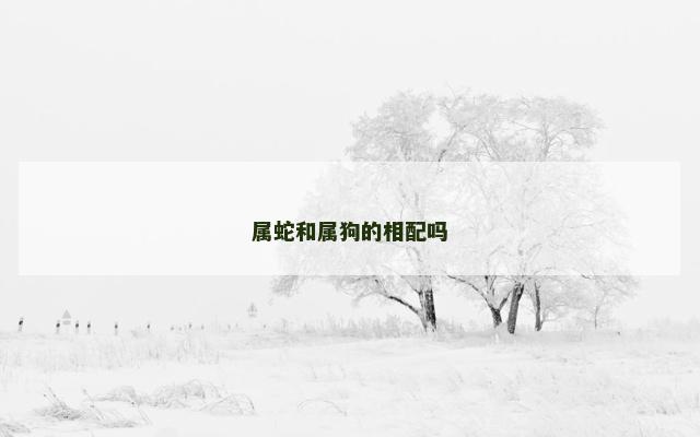 属蛇和属狗的相配吗