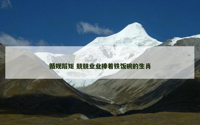 循规蹈矩 兢兢业业捧着铁饭碗的生肖