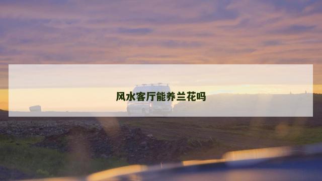 风水客厅能养兰花吗