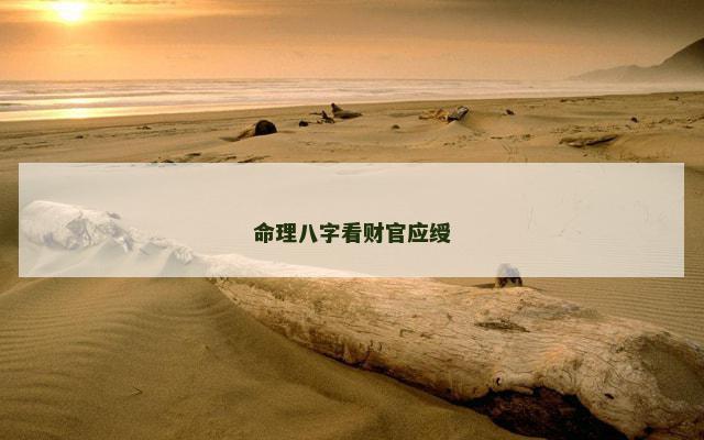 命理八字看财官应绶