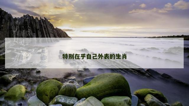 特别在乎自己外表的生肖