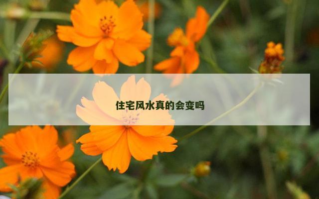 住宅风水真的会变吗