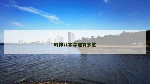 时神八字命理有多重