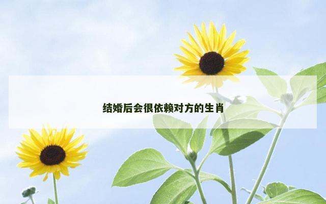 结婚后会很依赖对方的生肖
