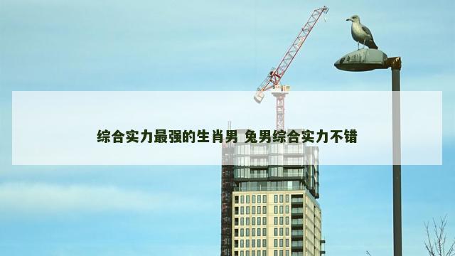 综合实力最强的生肖男 兔男综合实力不错