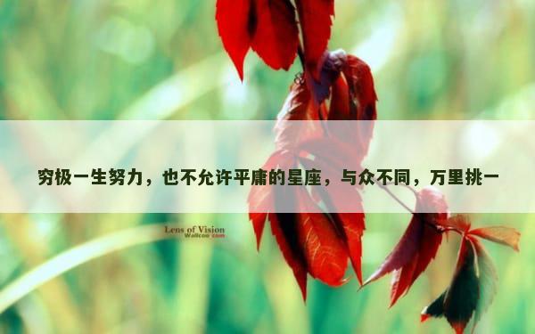 穷极一生努力，也不允许平庸的星座，与众不同，万里挑一