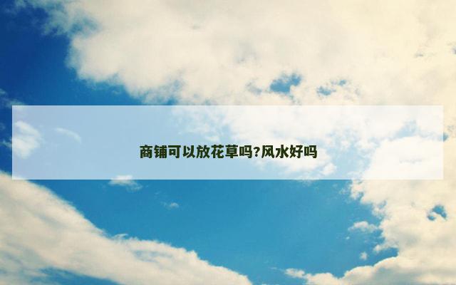商铺可以放花草吗?风水好吗