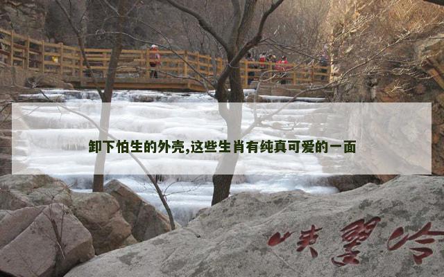 卸下怕生的外壳,这些生肖有纯真可爱的一面