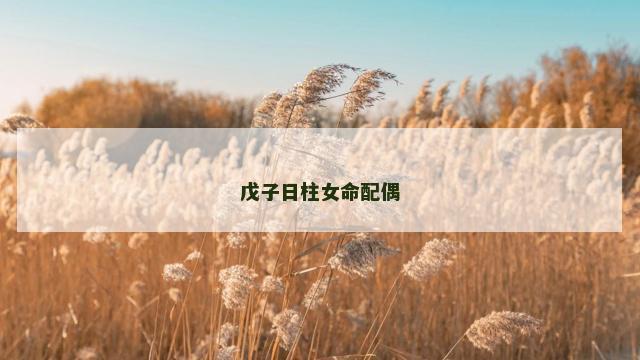 戊子日柱女命配偶