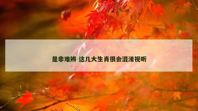 是非难辨 这几大生肖很会混淆视听