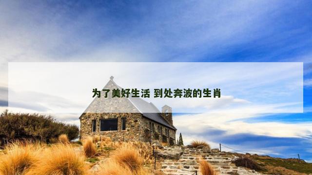 为了美好生活 到处奔波的生肖