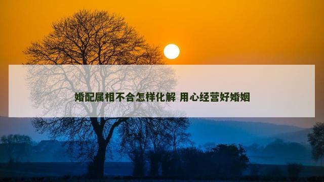 婚配属相不合怎样化解 用心经营好婚姻