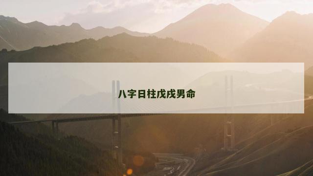 八字日柱戊戌男命