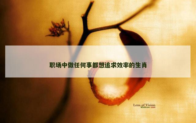 职场中做任何事都想追求效率的生肖