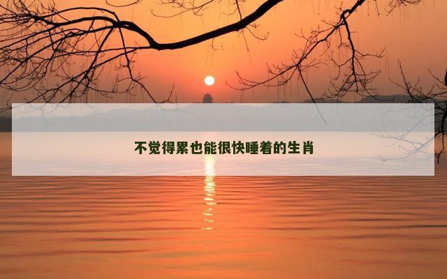 不觉得累也能很快睡着的生肖